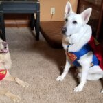 327304584_711336693902092_8143039880544972138_n