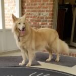 327357479_706864337595732_361392893764255460_n