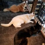 327692690_633171845286960_8273560559032152647_n