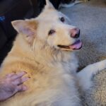 327694604_921391285964474_866120747525143888_n